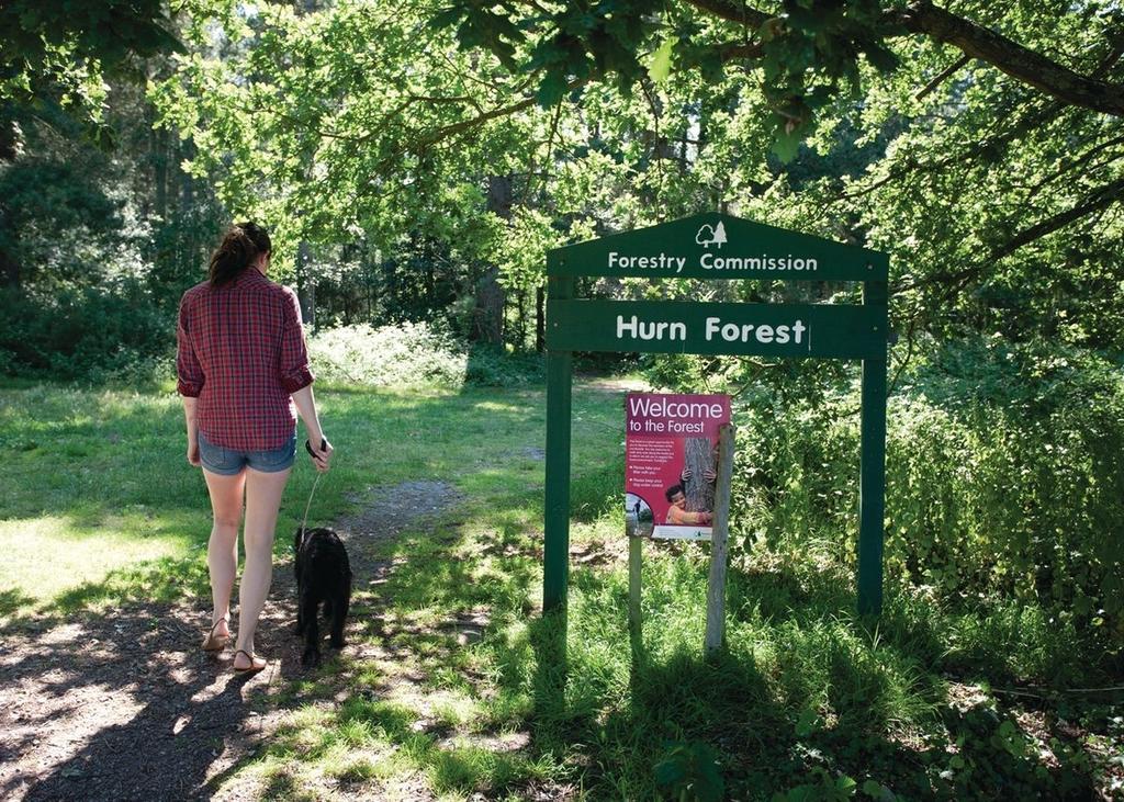 Oakdene Forest Hotel เฟิร์นดาวน์ ภายนอก รูปภาพ